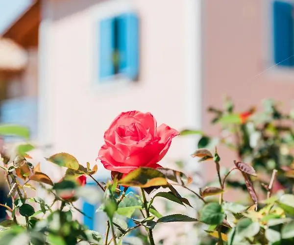 Alexandros Luxury * Nydri (Lefkada)